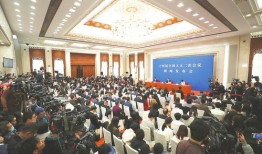 最新蓬莱爆料事件新闻发布会,揭秘真相与后续行动