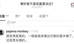 黄轩最新互动爆料,揭秘明星私生活与影视事业新动向