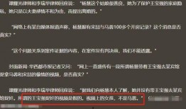 宋喆前妻爆料最新视频,事件真相再引热议