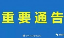 文安爆料视频最新,最新事件背后惊人真相