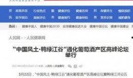 网红爆料最新新闻报道内容,揭秘事件背后惊人真相！