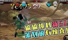 火影精灵技能爆料大全最新,揭秘最新技能组合与战术解析