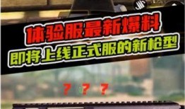 国际体验服最新爆料,揭秘游戏新内容与玩法革新