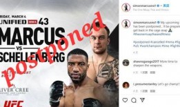 mma的最新爆料,MMA世界风云再起，神秘事件引发热议