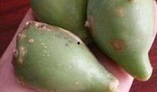 蛋仔皮肤仙人掌最新爆料,蛋仔皮肤仙人掌全新爆料，带你领略独特魅力