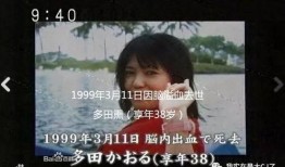 琴子最新爆料内容,揭秘娱乐圈惊人内幕