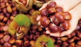 栗子最新爆料,揭秘娱乐圈最新热点事件