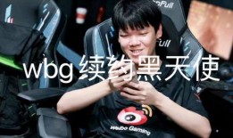 lpl转会期最新爆料wbg,揭秘全新阵容布局