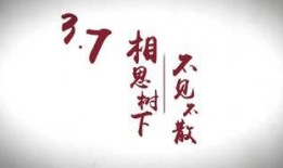 天涯最新爆料2017,揭秘当年热点事件内幕