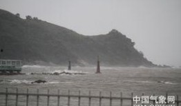 狂风骤雨最新爆料,揭秘背后惊人真相